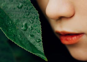 Detailed shot of a dewy leaf next to a person's face, highlighting nature's freshness and human connection.